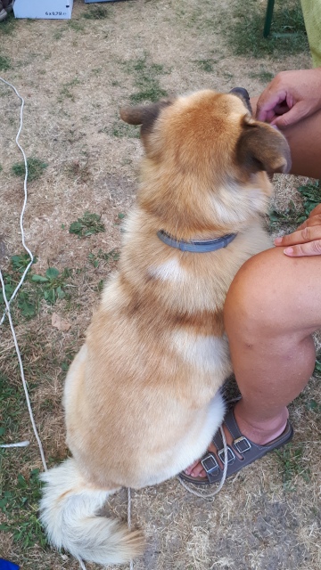 ../fotos/het_verlaat_2018/2018-08-05 10.37.25.jpg